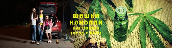 прущие грибы Богородицк